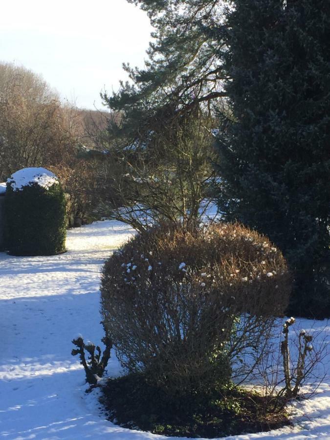 La Ferme Des Ruelles Bed and Breakfast Moigny Exterior foto